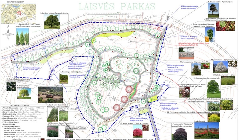 VGTU studentų siūlomos kūrybinės idėjos – Molėtų Laisvės parkui atnaujinti